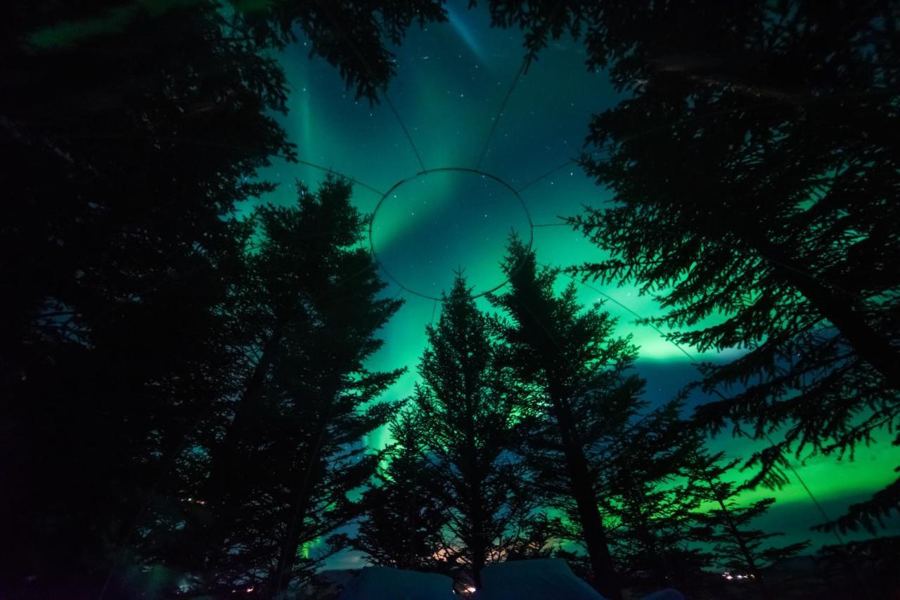 Buubble Hotel - Hrosshagi Selfoss Kültér fotó